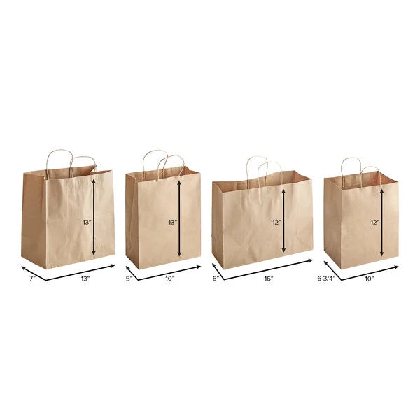 Eco-Friendly Kraft Paper Bag with Twisted Handles- 250/Case