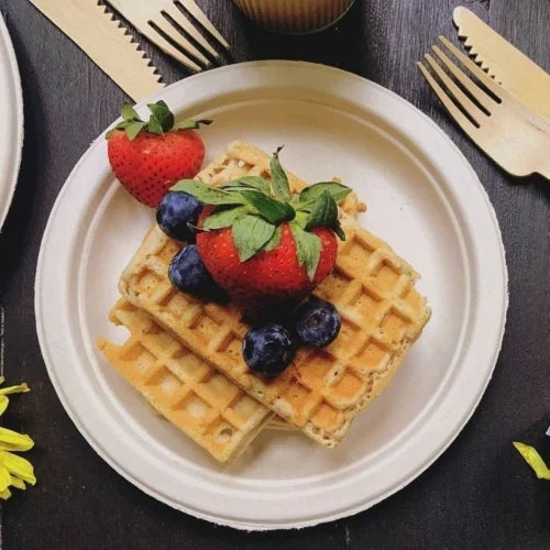 9 inch Bagasse Round Plate (1000 Pcs)